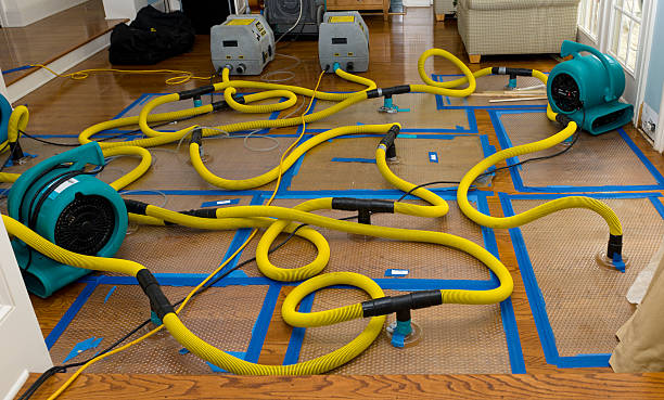 Professional Flood Damage Restoration technician working in Berea, SC